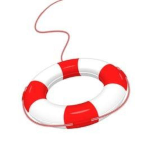 “Crash helmets and life preservers.” –Teaching a Stone to Talk